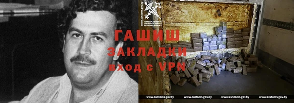 шишки Слюдянка