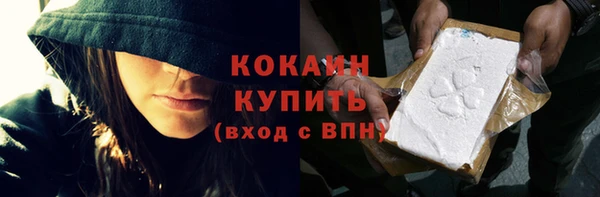 шишки Арсеньев