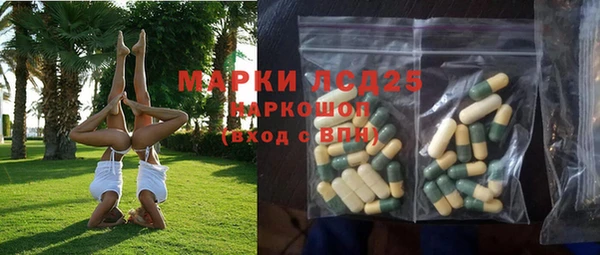 шишки Арсеньев