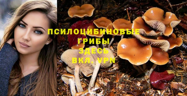 мдпв Семикаракорск