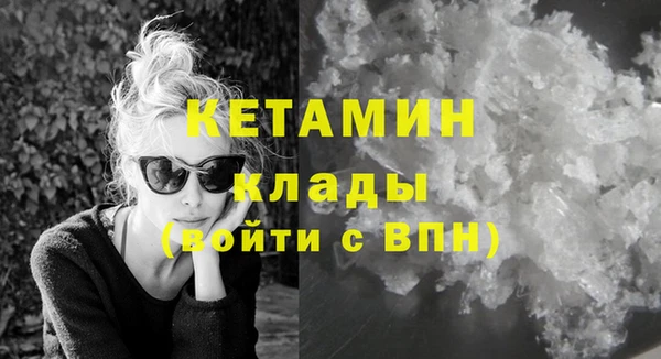 шишки Арсеньев